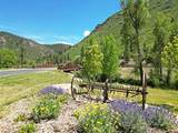 85 Larkspur Street - Photo 32