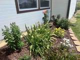 42164 Road J.75 - Photo 6