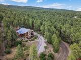 339 Elk Drive - Photo 44