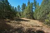 93 Blackhawk Ranch - Photo 29