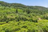 3230 Bear Creek Road - Photo 7