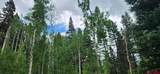 454 Mccoy Creek - Photo 4