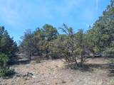 555 Aspen Road - Photo 10