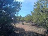 555 Aspen Road - Photo 12