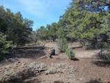 555 Aspen Road - Photo 14