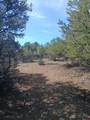 555 Aspen Road - Photo 3