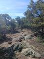 555 Aspen Road - Photo 5