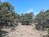 555 Aspen Road - Photo 9