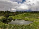 44401 & 44501 160 Highway - Photo 41