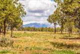 180 County Road 122A - Photo 30