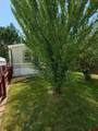 62880 Lasalle Road - Photo 38