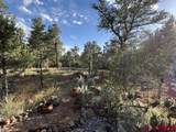 24888 Timothy Road - Photo 20