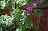 122 Alamo Drive - Photo 30