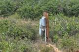 TBD Cross Creek Road - Photo 20