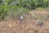 TBD Cross Creek Road - Photo 22