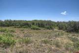 TBD Cross Creek Road - Photo 42