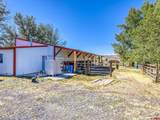 31984 Lazear Road - Photo 20
