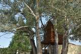 31984 Lazear Road - Photo 22