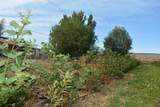 31984 Lazear Road - Photo 31
