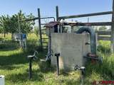 31984 Lazear Road - Photo 33