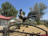 31984 Lazear Road - Photo 34