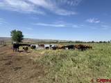 31984 Lazear Road - Photo 36