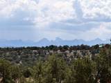 35 Cactus Place - Photo 45