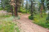 TBD Spruce Mesa Drive - Photo 13