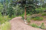 TBD Spruce Mesa Drive - Photo 14