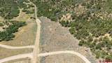 3279 County Road 237 - Photo 15