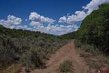 3279 County Road 237 - Photo 7
