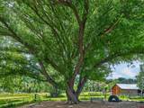 2441 County Road 225 - Photo 9