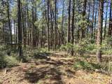256 and 194 Blue Ridge Drive - Photo 3
