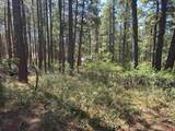 256 and 194 Blue Ridge Drive - Photo 5