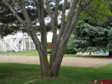 410 6th Street - Photo 25