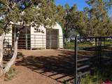 37444 Polson Road - Photo 36