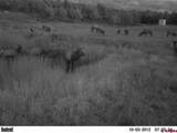37444 Polson Road - Photo 41