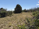 TBD Roberts Ridge Road - Photo 10