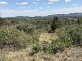 TBD Roberts Ridge Road - Photo 11