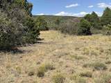 TBD Roberts Ridge Road - Photo 12