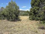 TBD Roberts Ridge Road - Photo 13