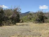 TBD Roberts Ridge Road - Photo 2