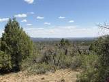 TBD Roberts Ridge Road - Photo 3