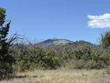 TBD Roberts Ridge Road - Photo 4