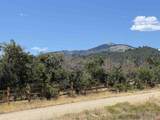 TBD Roberts Ridge Road - Photo 5