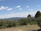 TBD Roberts Ridge Road - Photo 6