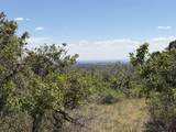 TBD Roberts Ridge Road - Photo 7