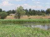 176 Port Ave - Photo 8