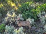 000 Highway 133 - Photo 13