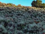 000 Highway 133 - Photo 16